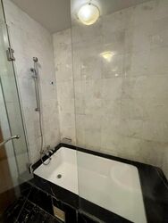 Amaryllis Ville (D11), Condominium #566256251